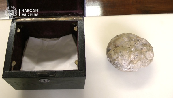 The fossilised cranium of a Neanderthal man. Photo: National muzeum